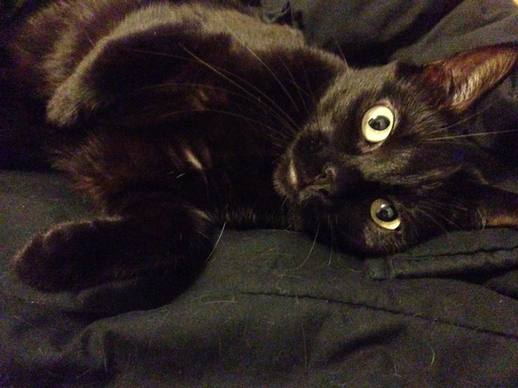 tumblr_ndhvd42hbf1rlvs7xo1_1280